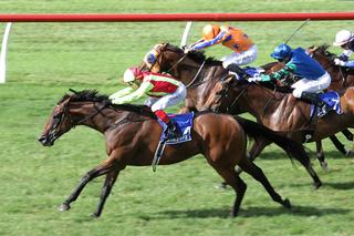 Julius added the $100,000 Group 3 Darley Stallions Plate (1200m) at Ellerslie to his CV on Saturday. Photo: Trish Dunnell. 